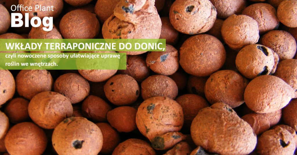 OP_Blog_wklady terraponiczne