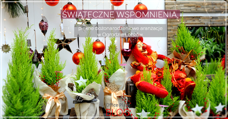 bozonarodzeniowe dekoracje krakow