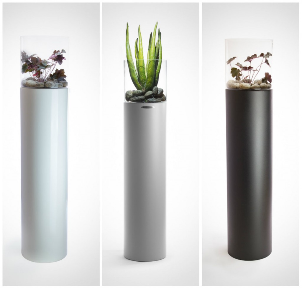 Office Plant Blog_donice ze stali zieleń w klubach fitness siłowniach