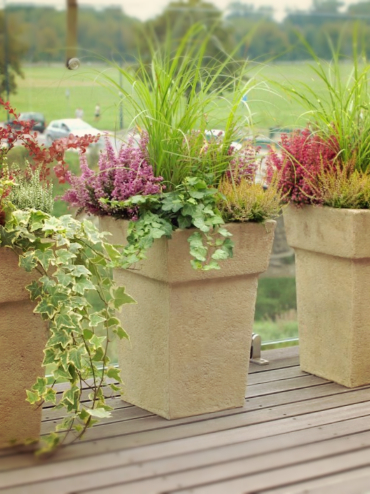 jesienne dekoracje roslinne kraków ogrod lobzow office plant 2 taras