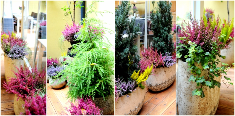 Office Plant Blog_jesienne donice Kraków jesienne wnetrza restauracji