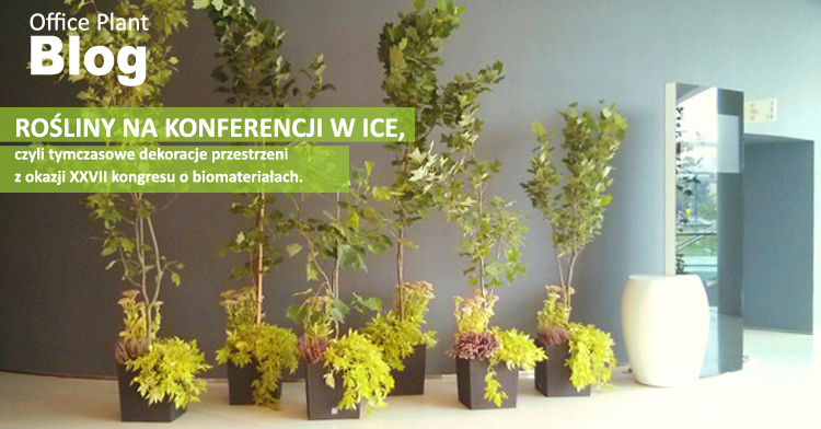 rośliny na konferencji ICE ESB 2015 wypożyczalnia roślin kraków