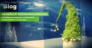 office plant aranzacje bozonarodzeniowe