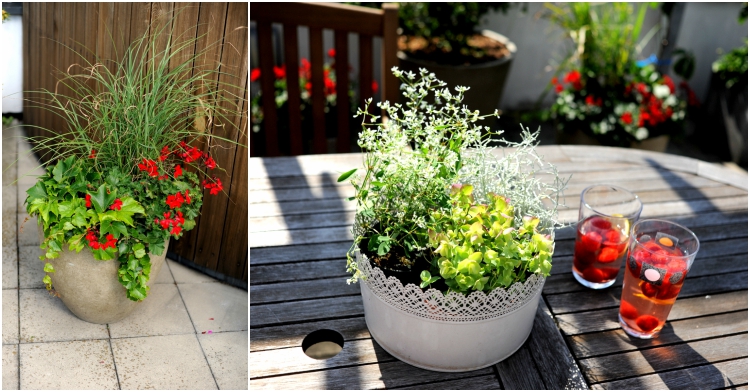 Office Plant Kraków tarasu metamorfoza