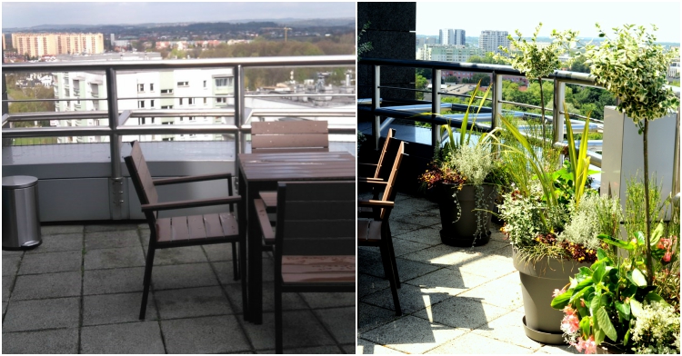 Office Plant Blog_metamorfoza tarasu Kraków III miejski orgód blog ogrodniczy