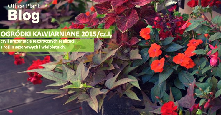 ogródki kawiarniane kraków 2015 realizacje office plant ogród łobzów