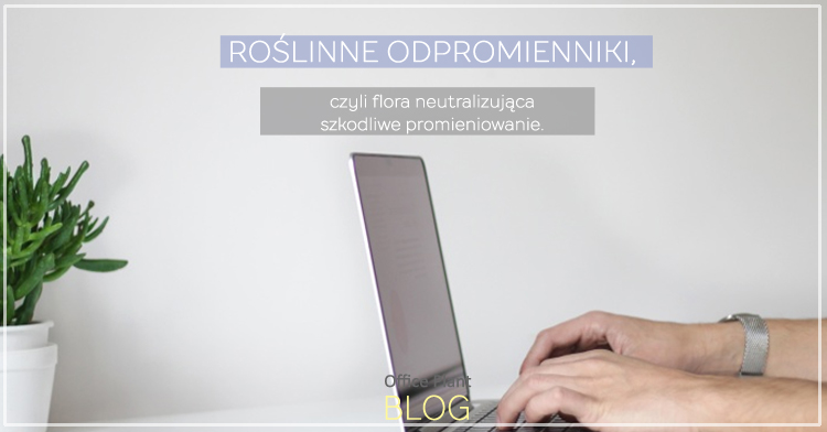 roslinne odpromienniki