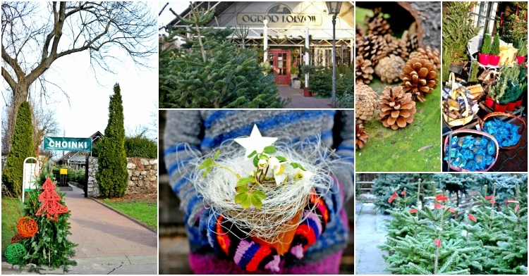 OP Blog_ świąteczne wspomnienia 2017 dekoracje Kraków