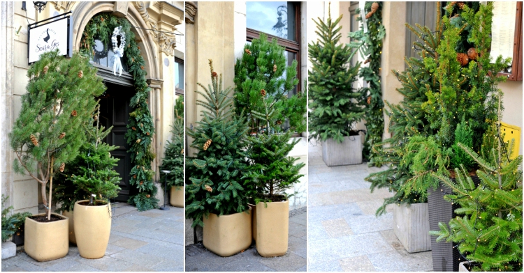 OP_Blog_świąteczne dekoracje Krakow 2017 szara gęś