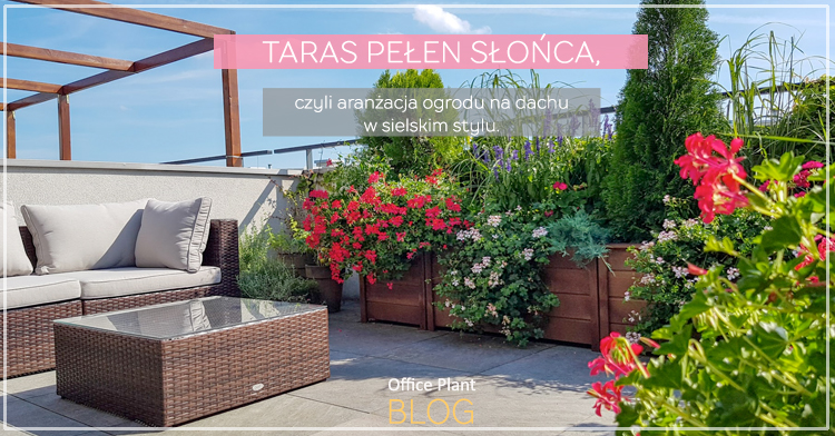 taras pelen slonca