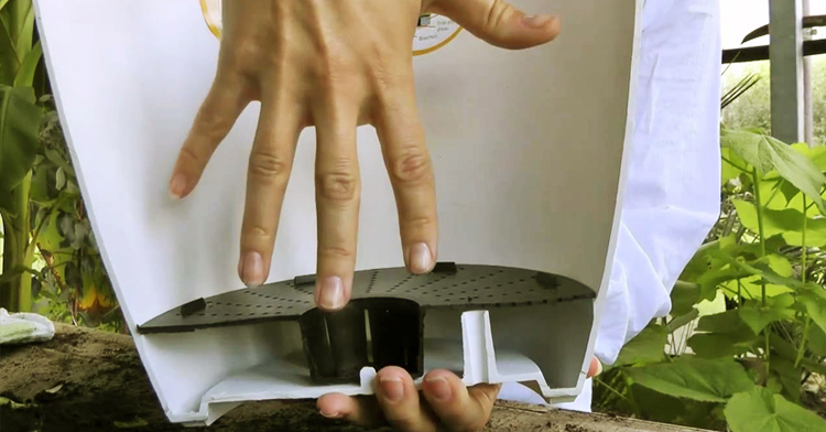 wklady terraponiczne