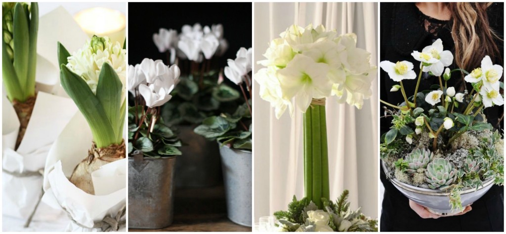 Office Plant Blog_ pastelowe święta na różowo pastelowe dodatki bożonarodzeniowe