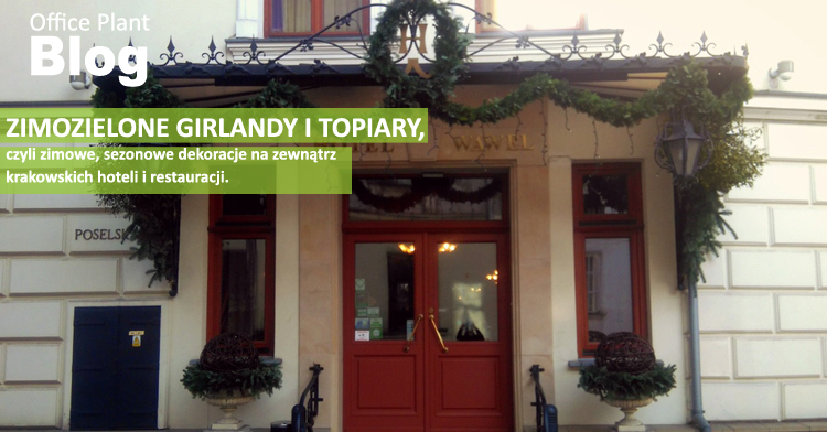 zimozielone dekoracje zimozielone girlandy restauracje kraków