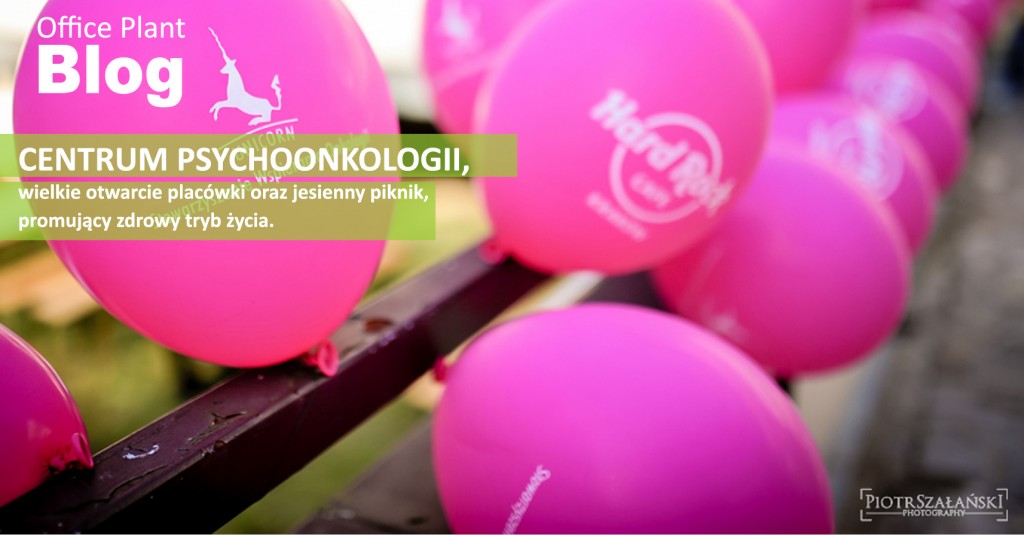Office Plant_Blog_Centrum Psychoonkologii Kraków Autor: Corinna Frączek