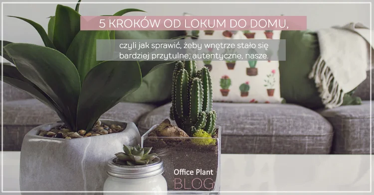 5 KROKÓW OD LOKUM DO DOMU.