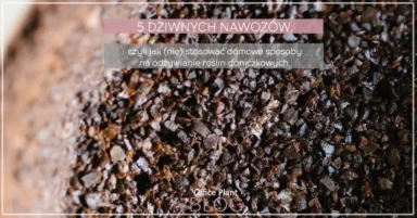 5 DZIWNYCH NAWOZÓW.