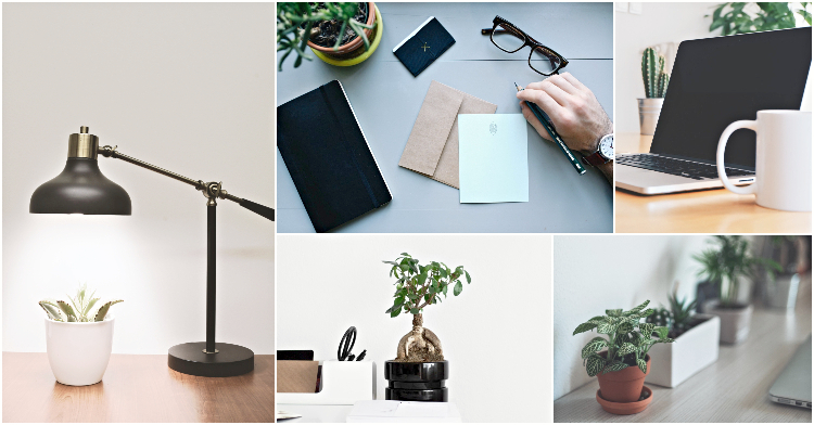 noworoczne postanowienia rosliny(1)