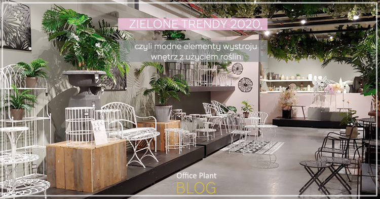 Office Plant Blog_zielone trendy Autor: Corinna Zyska