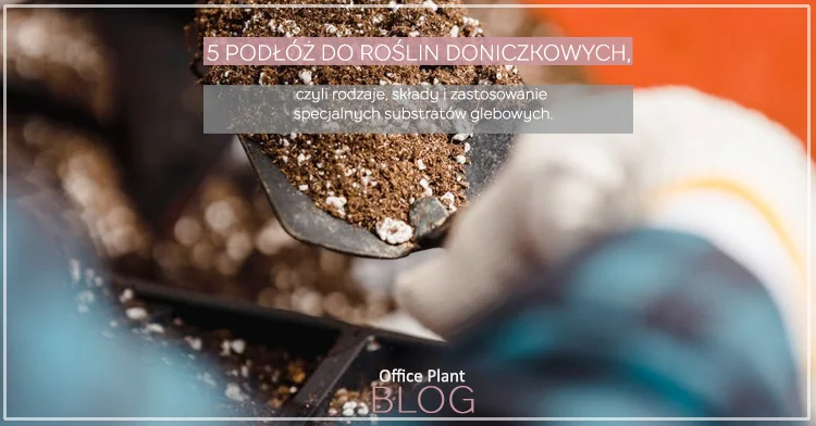 5 PODŁÓŻ DO ROŚLIN DONICZKOWYCH.