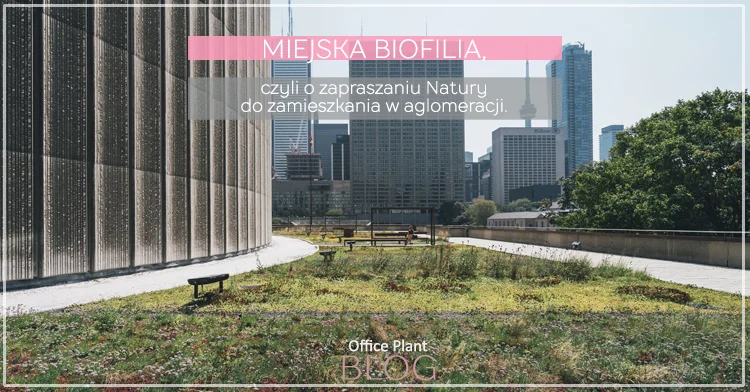MIEJSKA BIOFILIA.