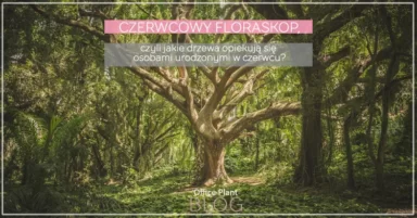 CZERWCOWY FLORASKOP.