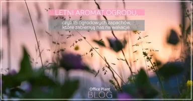 LETNI AROMAT OGRODU.