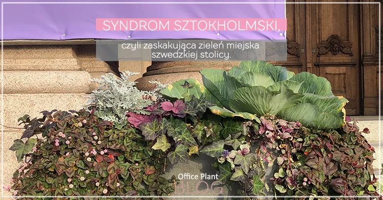 SYNDROM SZTOKHOLMSKI.