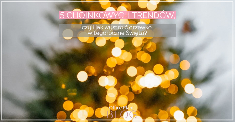 5 CHOINKOWYCH TRENDÓW 2022.
