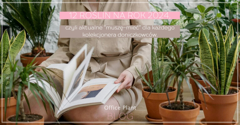 12 ROŚLIN NA ROK 2024
