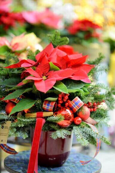 Świąteczna dekoracja do biura: kolorystyka zielono-czerwona