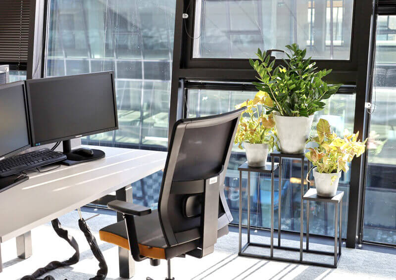 Rośliny do biura – zielone aranżacje biur (Kraków i Katowice)