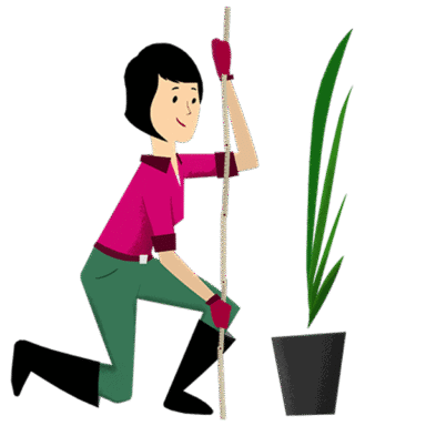 Pierwsza wizyta ogrodnika w biurze