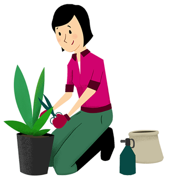 Serwis roślin: kompleksowa pielęgnacja i utrzymanie