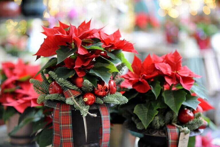 Dekoracje świąteczne do biura