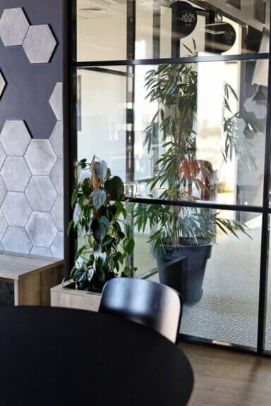 Aranżacja zieleni w przestrzeni biurowej kompleksu High5ive - duże rośliny w dużych donicach