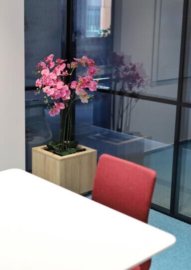 Aranżacja zieleni w przestrzeni biurowej kompleksu High5ive - orchidea