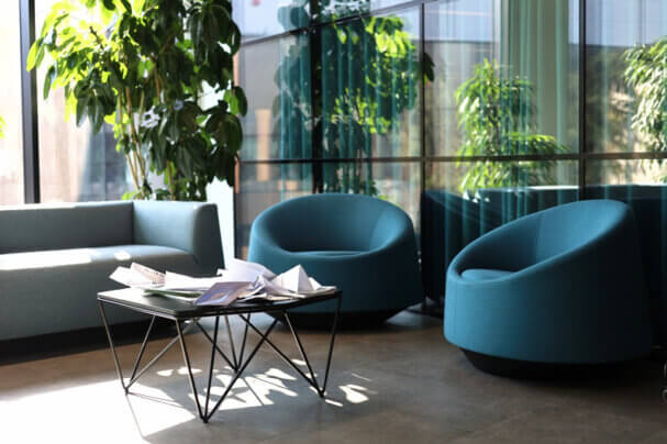 Realizacja Office Plant dla [nazwa biura] - duże, wolnostojące rośliny