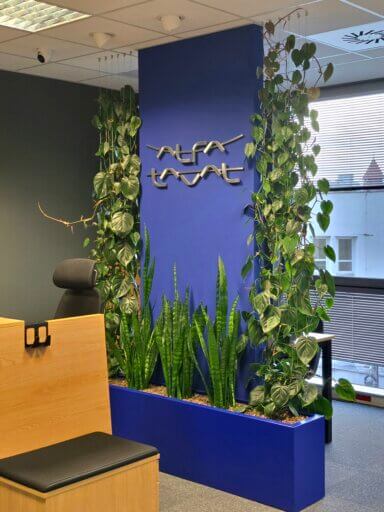 Realizacja Office Plant dla Alfa Laval, Kraków