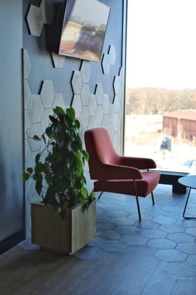 Aranżacja zieleni w przestrzeni biurowej kompleksu High5ive - roślina w drewnianej kwadratowej donicy w sali konferencyjnej