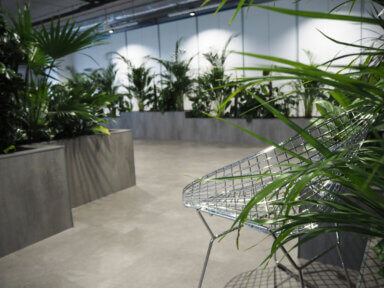 Realizacja Office Plant dla Zabłocie Bussines Park - duże i średnie rośliny: filodendron, zamioculcas, fikus, epipremnum, areca, dracena , aglaonema, schefflera. Realizacja Office Plant w Krakowie - szare donice dla kompozycji dużych, średnich i małych roślin.