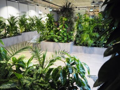 Realizacja Office Plant dla Zabłocie Bussines Park - duże i średnie rośliny: filodendron, zamioculcas, fikus, epipremnum, areca, dracena , aglaonema, schefflera. Realizacja Office Plant w Krakowie - szare donice dla kompozycji dużych, średnich i małych roślin.